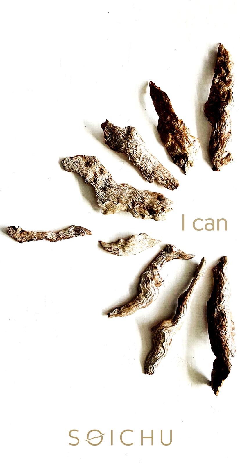 SOICHU bookmark, a small figure of bark pieces arranged as wings next to the words "I can"